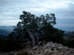 paisajes castellÃ³n (71).jpg