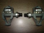 DSC02350.jpg