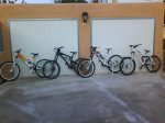 DSC07925.jpg