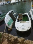 DSC07940.jpg