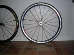 DSCN3338.jpg