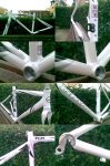 GIANT-TCR.jpg