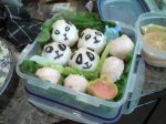 panda.jpg