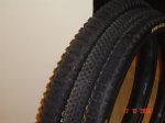 DSC04292.jpg
