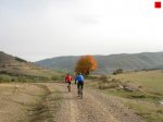 foromtb_image_12oct_03_num.jpg