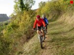 foromtb_image_12oct_04_num.jpg