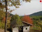 foromtb_image_12oct_05_num.jpg