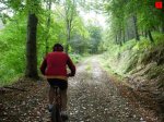 foromtb_image_12oct_07_num.jpg
