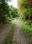 foromtb_image_12oct_08_num.jpg