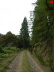 foromtb_image_12oct_09_num.jpg