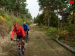 foromtb_image_12oct_12_num.jpg