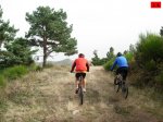 foromtb_image_12oct_15_num.jpg