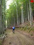 foromtb_image_12oct_18_num.jpg