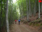 foromtb_image_12oct_19_num.jpg