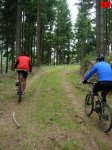 foromtb_image_12oct_20_num.jpg