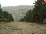 foromtb_image_12oct_21_num.jpg