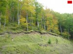 foromtb_image_12oct_24_num.jpg