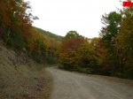foromtb_image_12oct_25_num.jpg