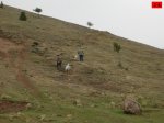 foromtb_image_12oct_26_num.jpg