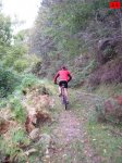 foromtb_image_12oct_28_num.jpg
