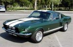ford shelby GT500 (1967).jpg