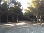 24-02-06_1735.jpg