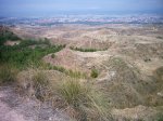DSC_0913.jpg