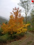 foromtb_image_13oct_01_num.jpg