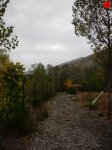 foromtb_image_13oct_03_num.jpg