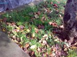 181020081029.jpg