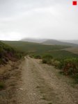 foromtb_image_13oct_07_num.jpg