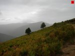 foromtb_image_13oct_08_num.jpg