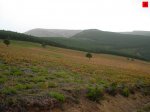foromtb_image_13oct_09_num.jpg