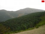 foromtb_image_13oct_10_num.jpg