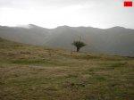 foromtb_image_13oct_11_num.jpg