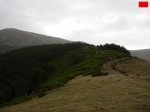 foromtb_image_13oct_12_num.jpg