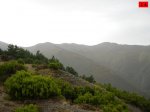 foromtb_image_13oct_14_num.jpg