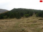 foromtb_image_13oct_15_num.jpg