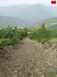 foromtb_image_13oct_16_num.jpg