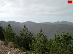 foromtb_image_13oct_17_num.jpg