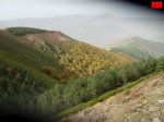 foromtb_image_13oct_21_num.jpg