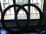 DSC03017_800x600.JPG