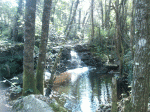 SPM_A0155.gif