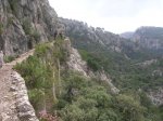 DSCN5557.jpg