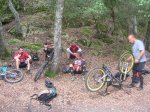 DSCN5547.jpg