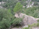 DSCN5555.jpg