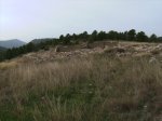 Imagen 028.jpg