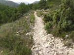 Imagen 031.jpg