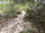 Imagen 044.jpg
