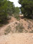 Imagen 045.jpg